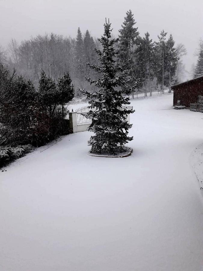 Ferienwohnung Im Westerwald Mengerskirchen Экстерьер фото